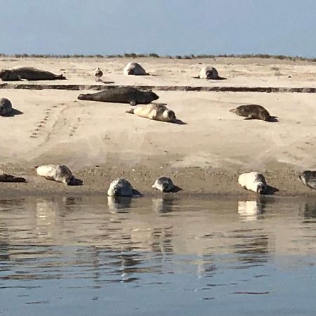 Trekvogels Hörn Lägenhet Dornum Exteriör bild