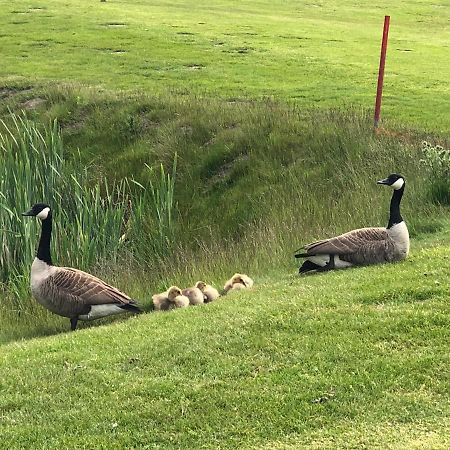 Trekvogels Hörn Lägenhet Dornum Exteriör bild