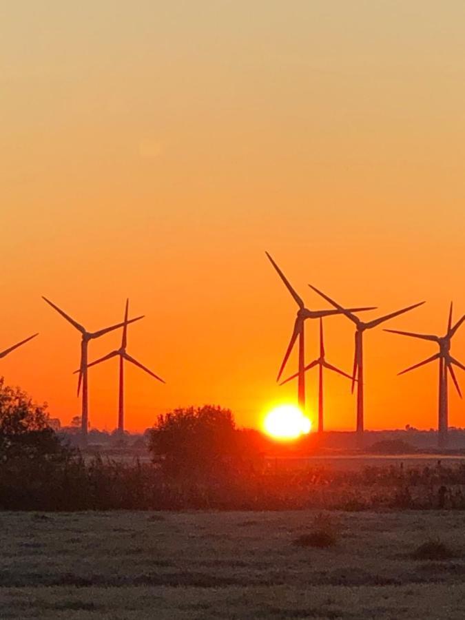 Trekvogels Hörn Dornum Exteriör bild