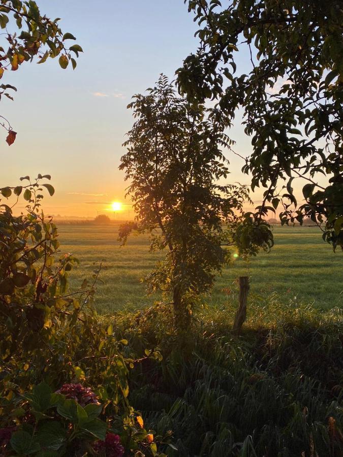 Trekvogels Hörn Lägenhet Dornum Exteriör bild